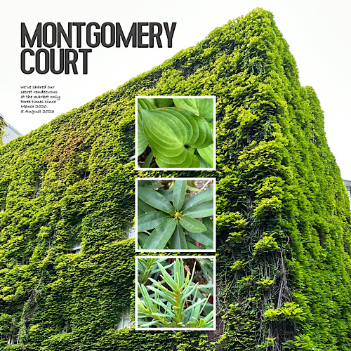 Montgomery Court