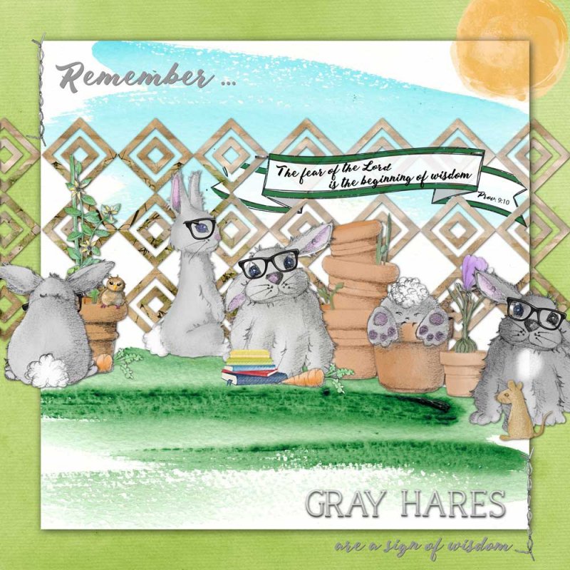Monthly Muse #4 -- Gray Hares and Wisdom