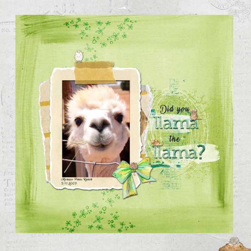 Monthly Muse Challenge #2 July 2018 -- Llama the Llama?