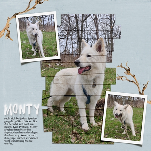 Monty