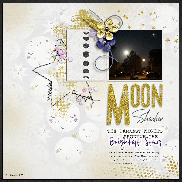 Moon Shadow