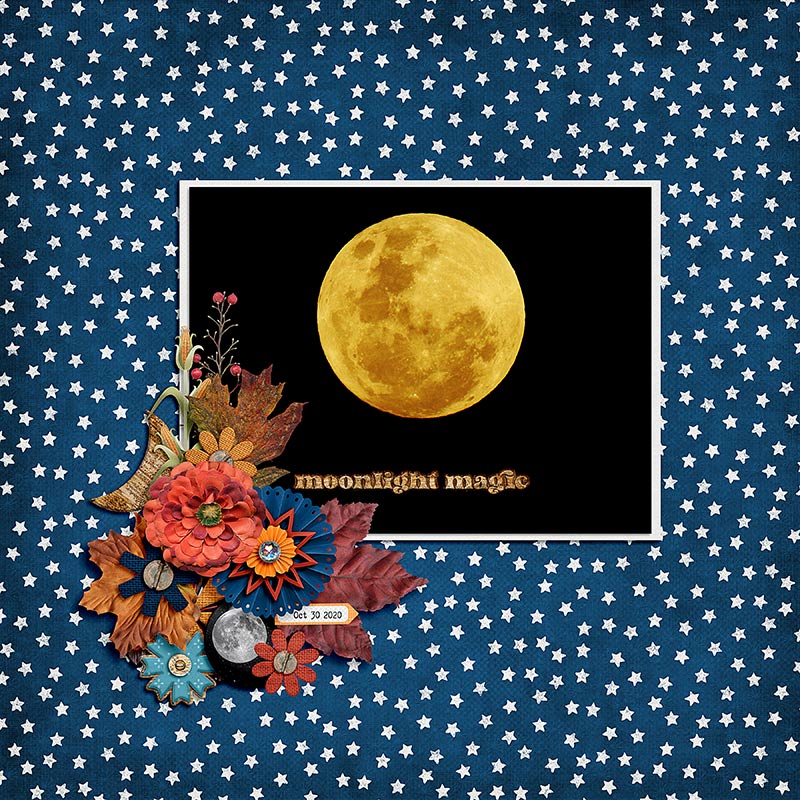 MOONLIGHT MAGIC
