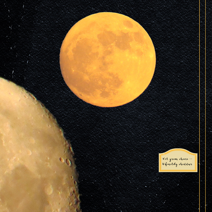 Moonshots