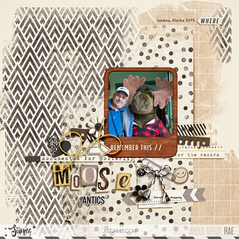 Moose Antics