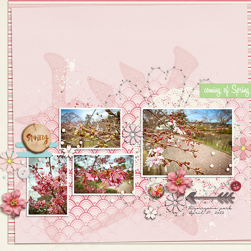More blossoms - 2022