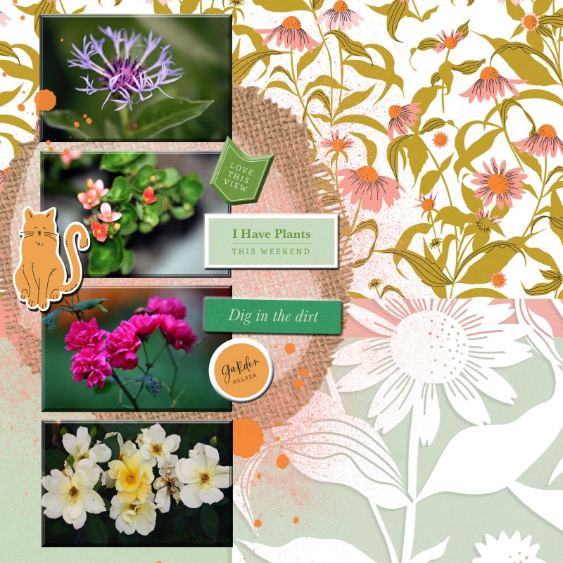More Garden Love Sahin Designs