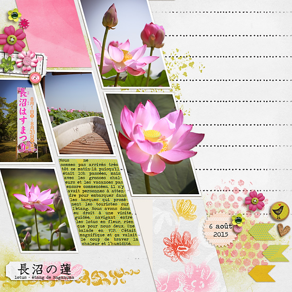 More lotus