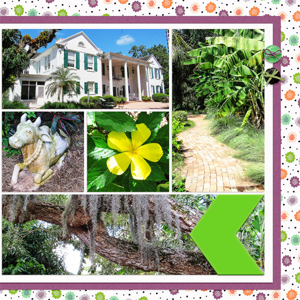 More Selby Gardens Pictures_right