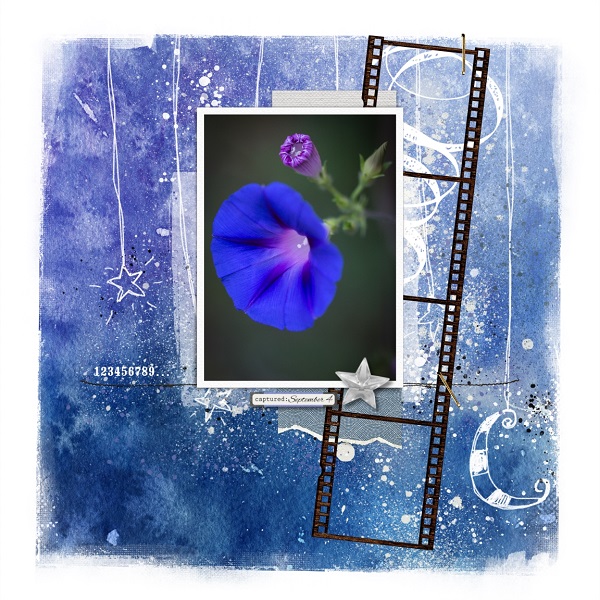 Morning Glory Light