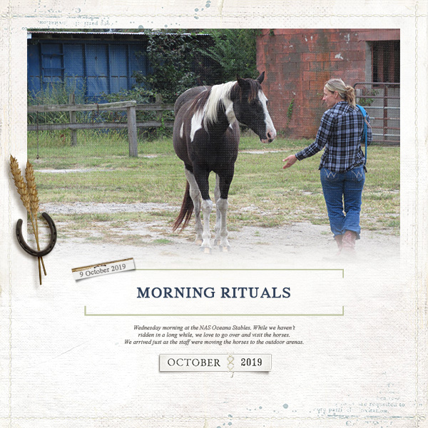 Morning Ritual