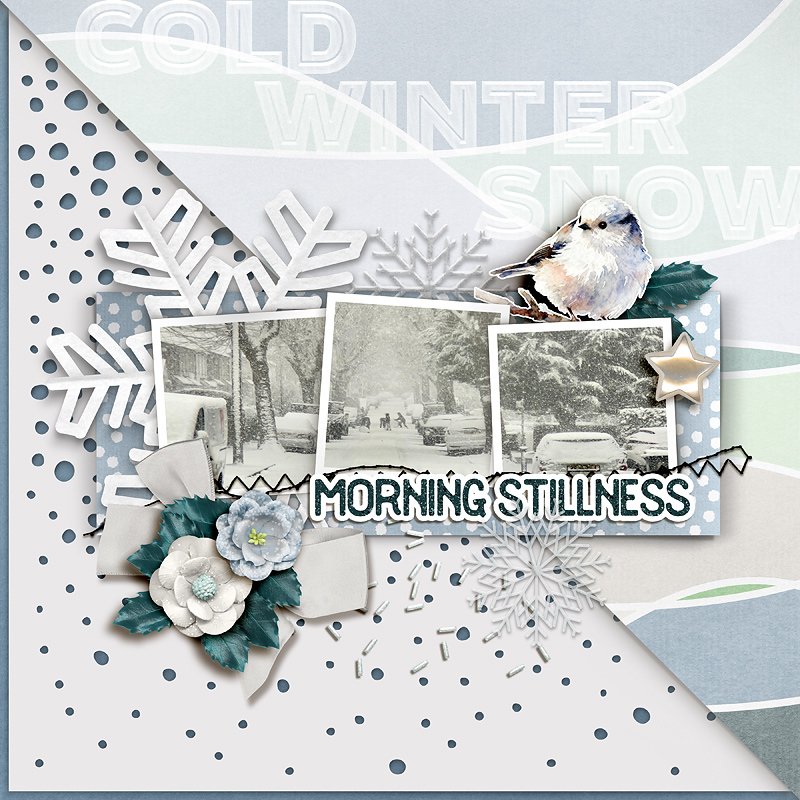 Morning Stillness
