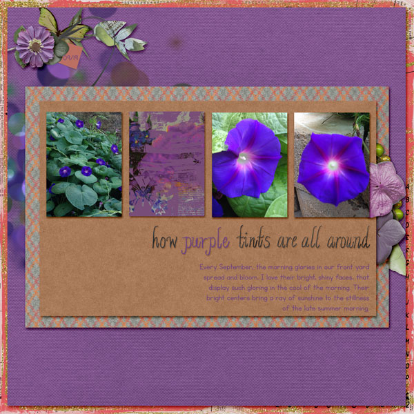 MorningGlory_Scraplift