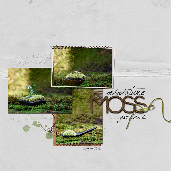 Moss Garden
