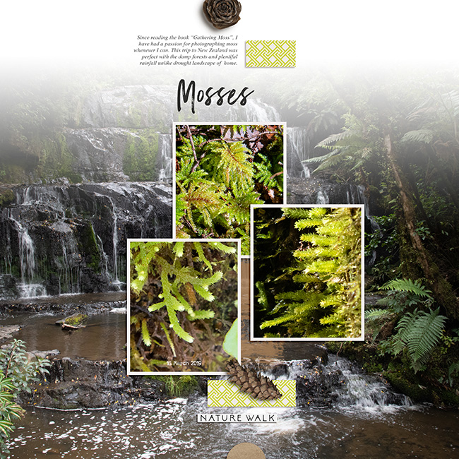 Mosses