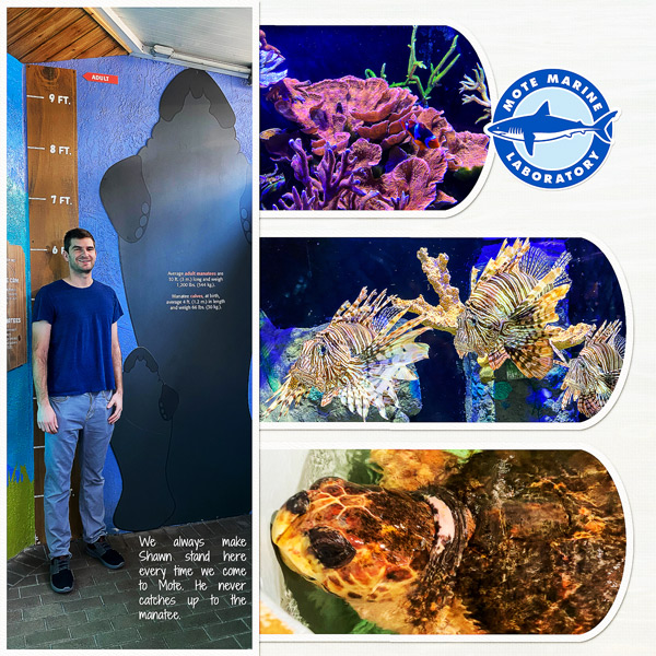 Mote Aquarium, right side