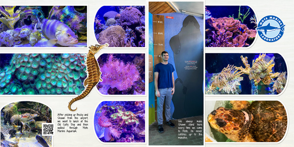 Mote Aquarium