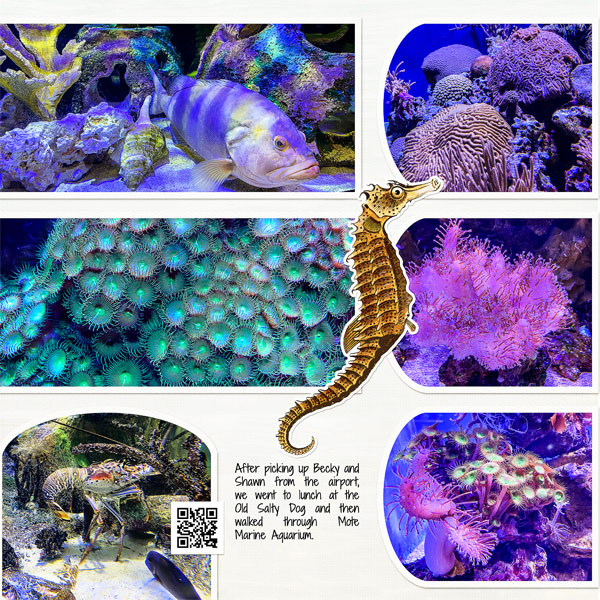 Mote Aquarium_left side