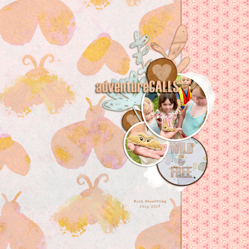Moth Adventure
