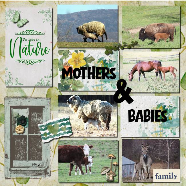 Mothers and Babies