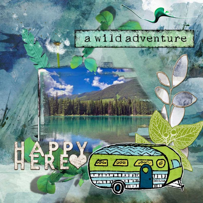 Motor Home Adventure