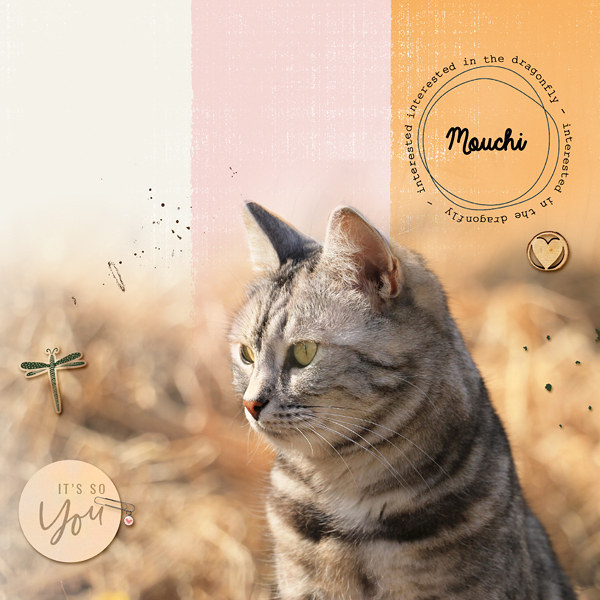 Mouchi