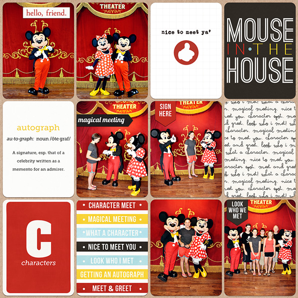mouse house