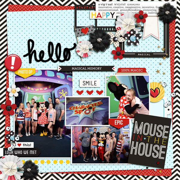 Mouse In The House