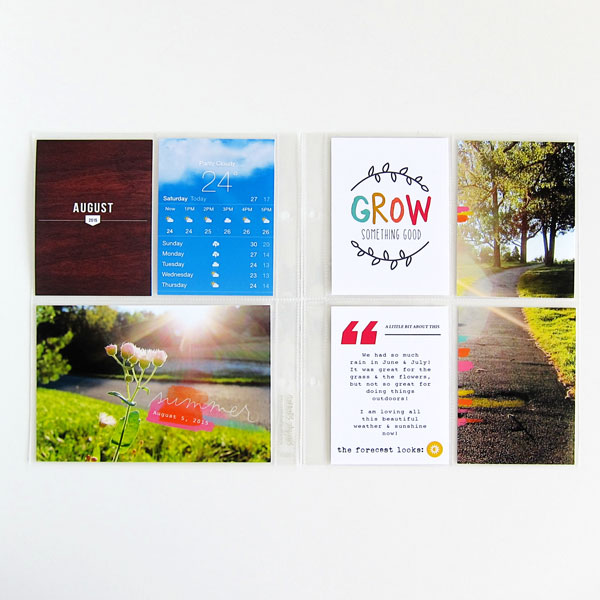 MPM August Visual Challenge
