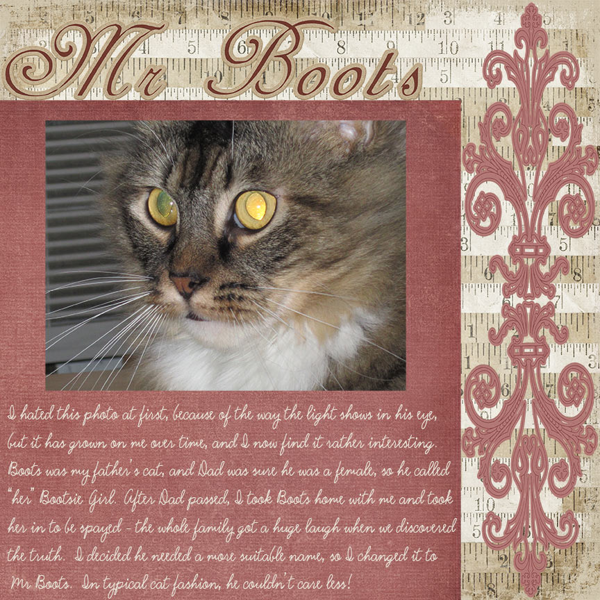 Mr. Boots