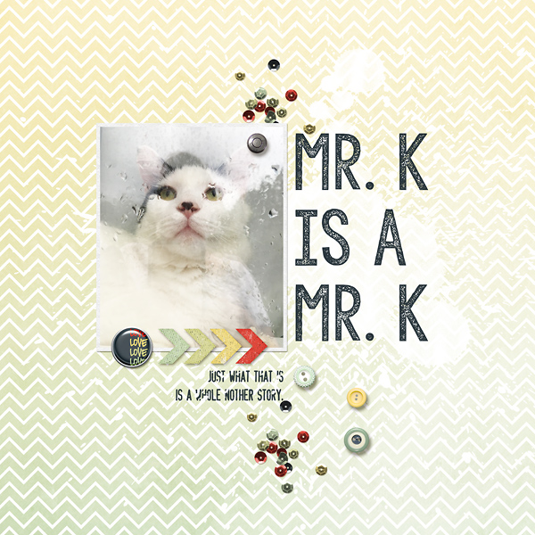 MR. K