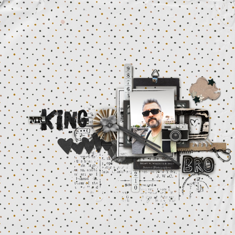 Mr. King Of Cool