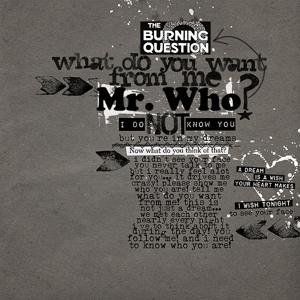 mr.who?