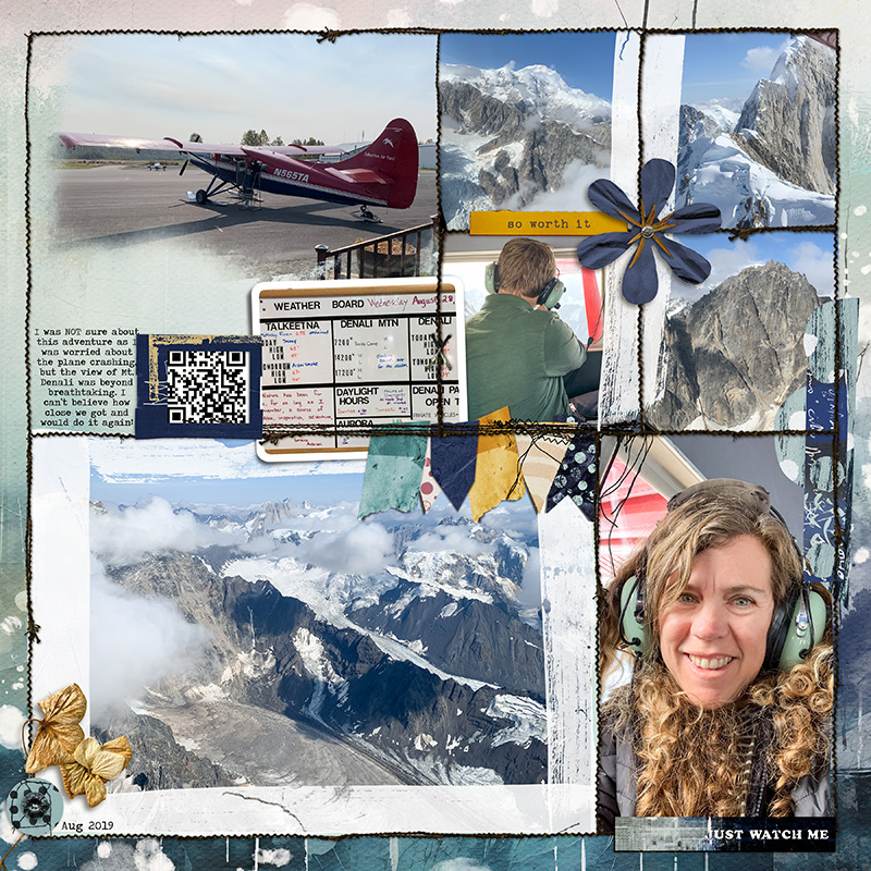 Mt Denali Flight
