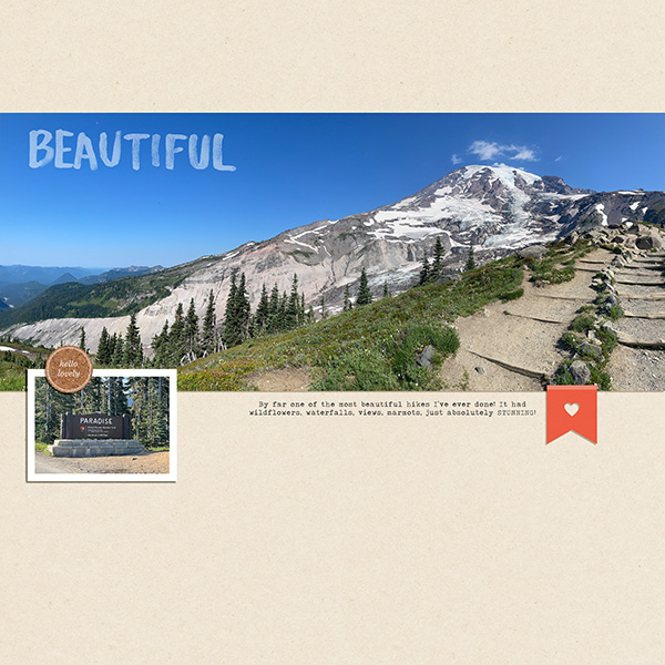 Mt Rainier
