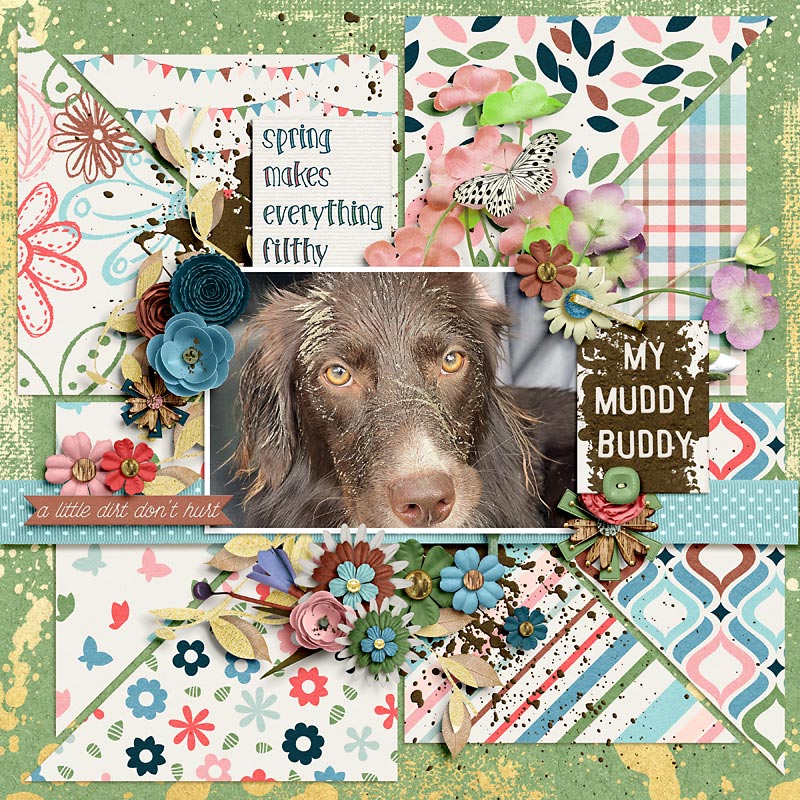 Muddy Buddy