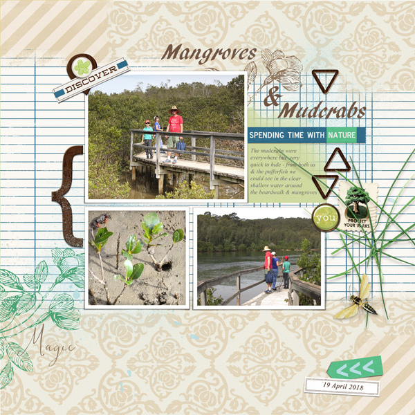 muddy mangroves