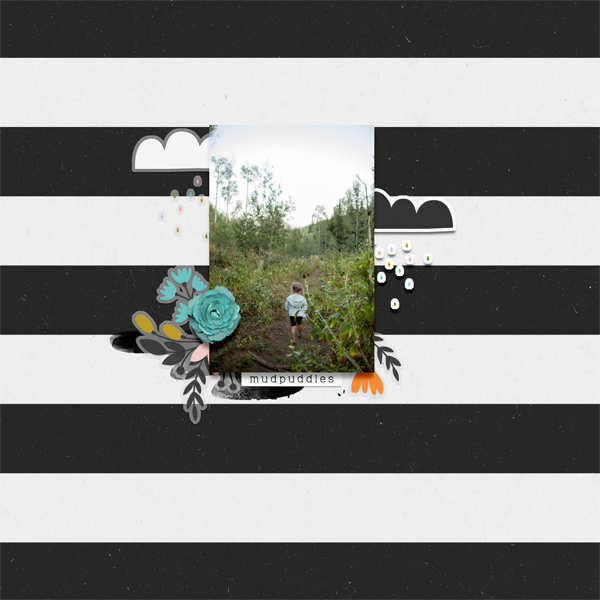 Mudpuddles