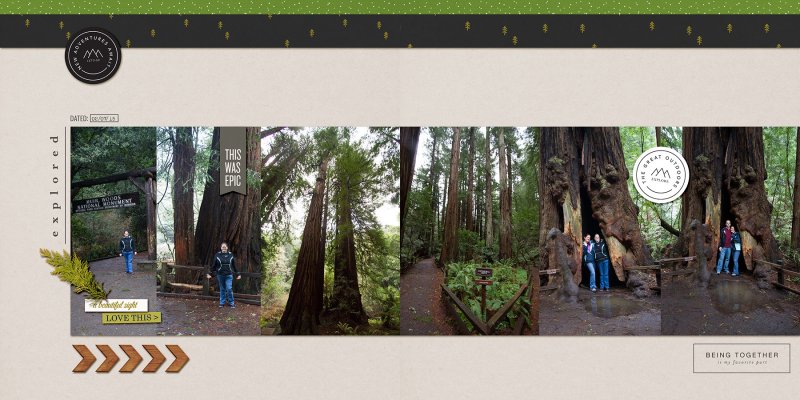 MuirWoods2015June2017SC