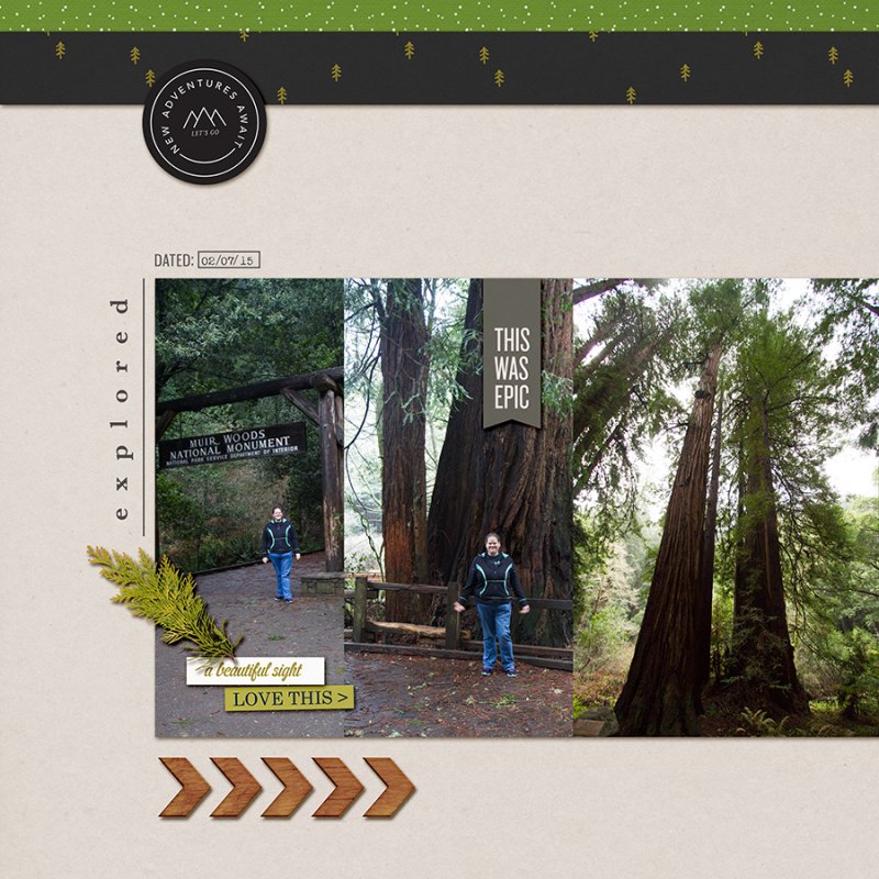 MuirWoods2015June2017SCRight