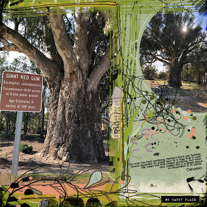 Muse Challenge Feb 2020 trees