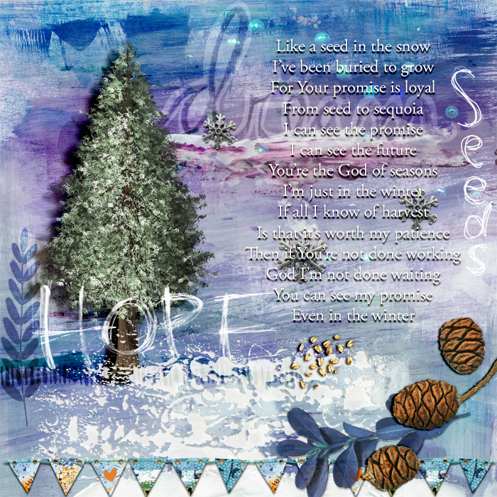 MUSEdec18_Sequoia_gallery