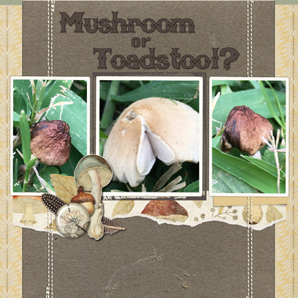 Mushroom Left MOC Day 14 6x6