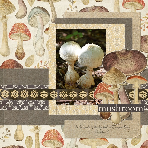 Mushroom