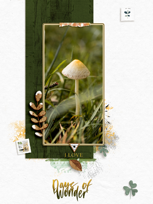 Mushroom