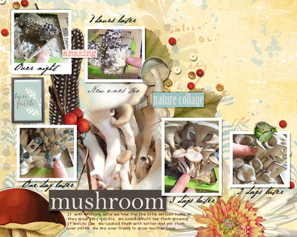 mushrooms