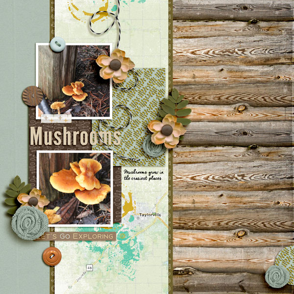 Mushrooms