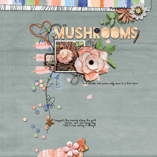 Mushrooms