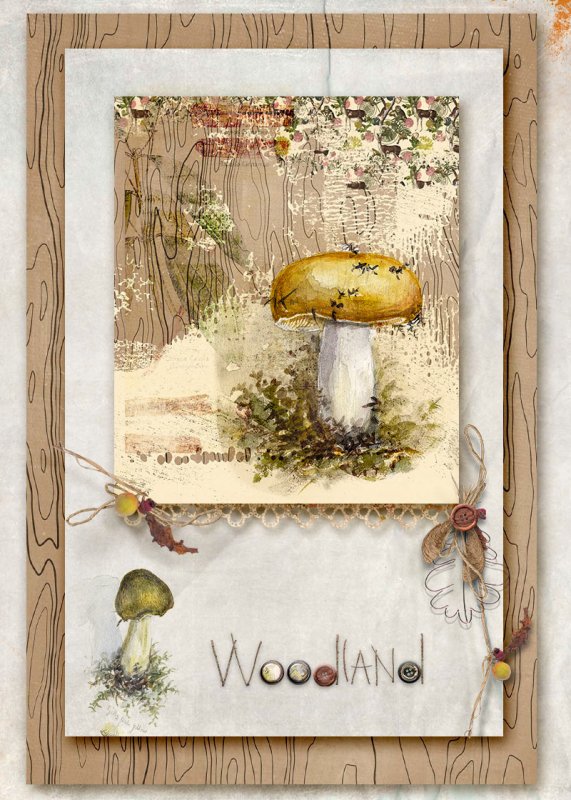 Mushrooms