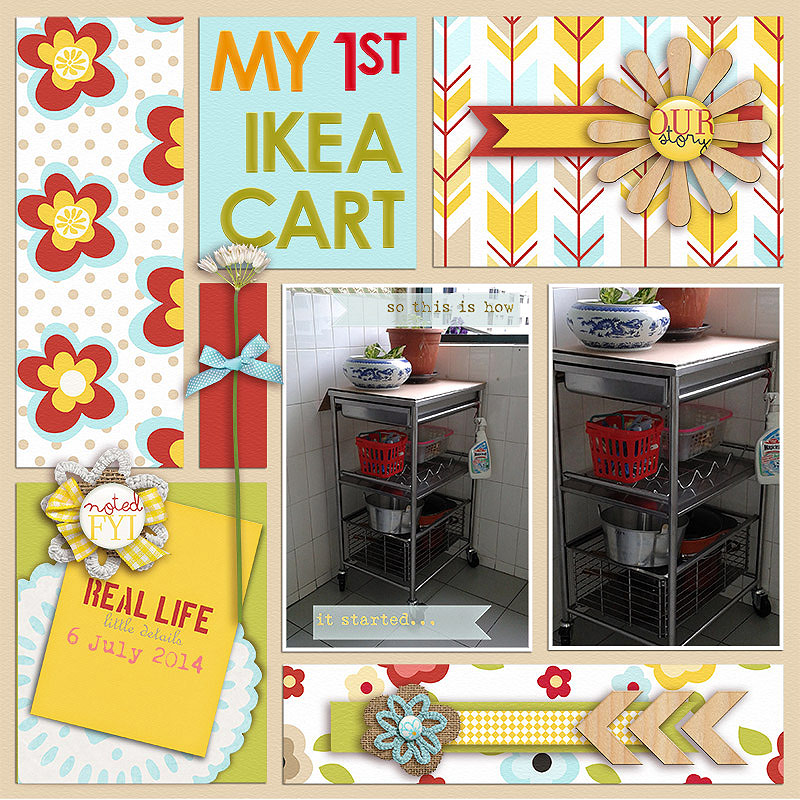 My 1st IKEA Cart