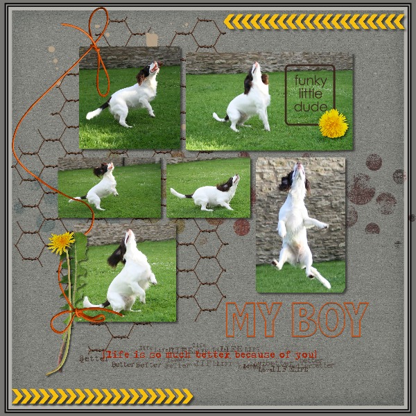 My Boy
